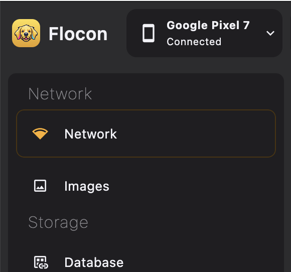 Captured Network Request